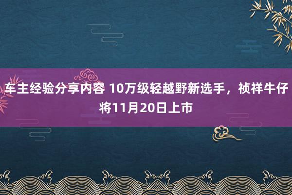 车主经验分享内容 10万级轻越野新选手，祯祥牛仔将11月20日上市