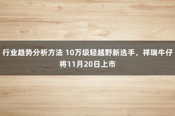 行业趋势分析方法 10万级轻越野新选手，祥瑞牛仔将11月20日上市