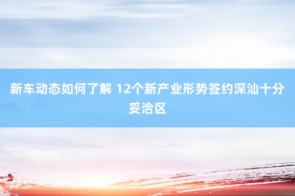 新车动态如何了解 12个新产业形势签约深汕十分妥洽区