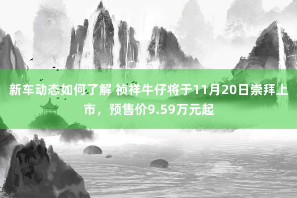 新车动态如何了解 祯祥牛仔将于11月20日崇拜上市，预售价9.59万元起